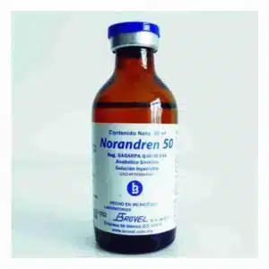 Norandren 50mg 50ml – Veternary big
